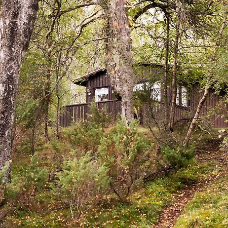 Macdonald Lochanhully Resort Carrbridge Bagian luar foto