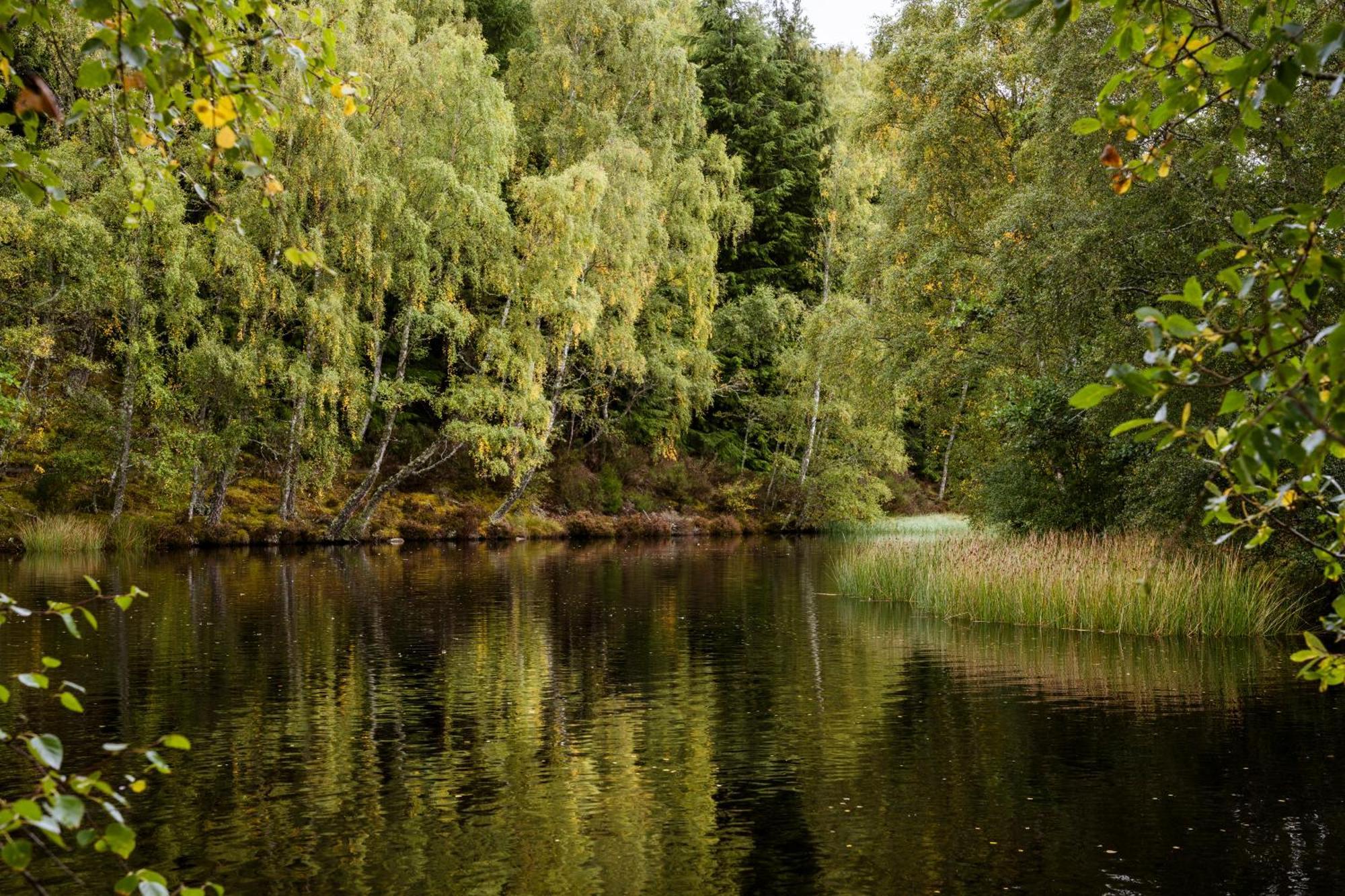 Macdonald Lochanhully Resort Carrbridge Bagian luar foto