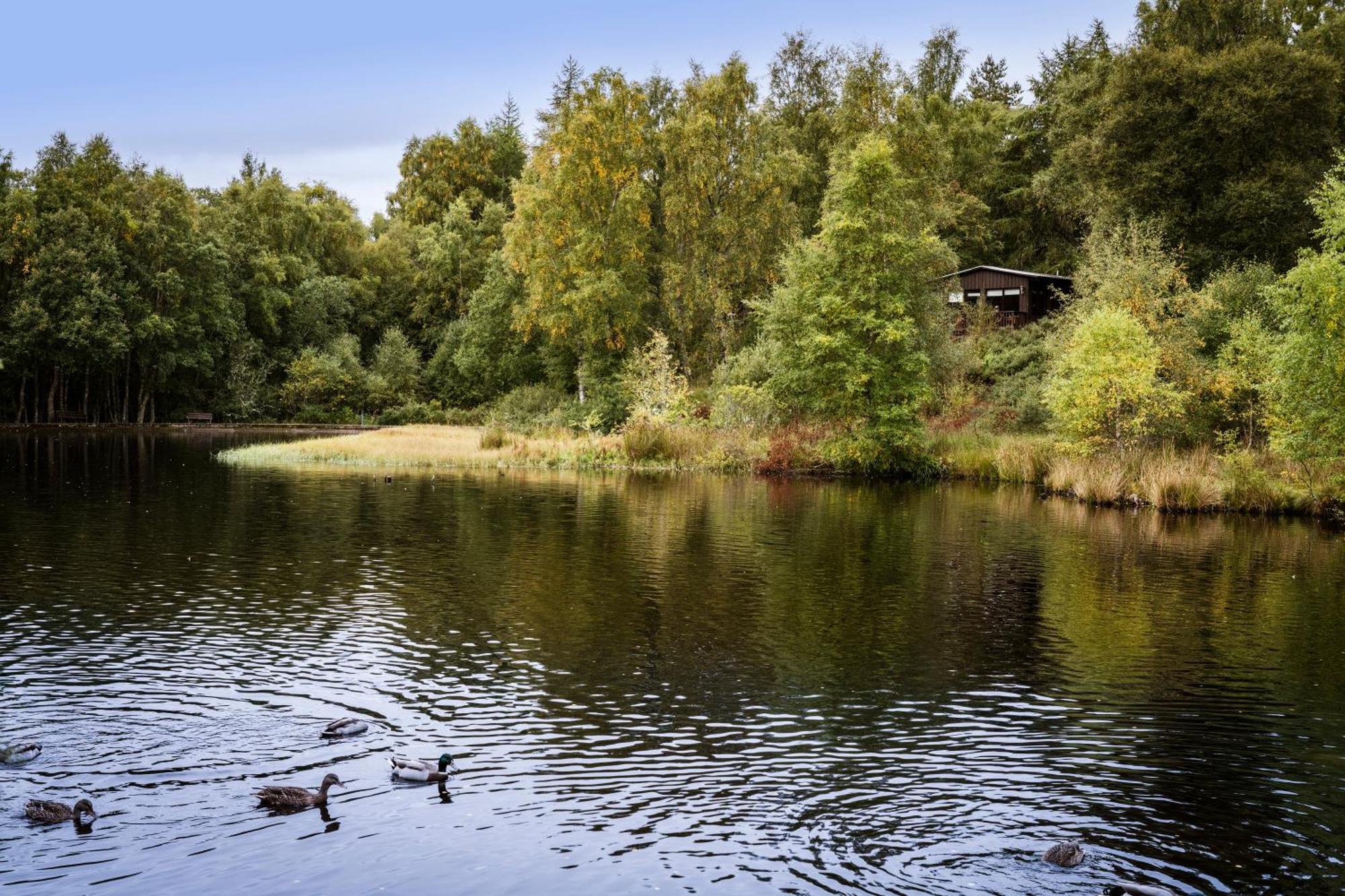 Macdonald Lochanhully Resort Carrbridge Bagian luar foto